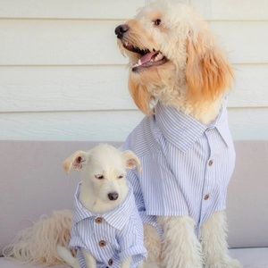 dog THREADS Hamptons Shirt with Stripes - Large